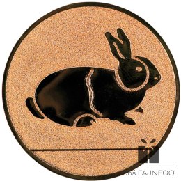 Emblemat samoprzylepny / Myślistwo / Brązowy / 50 mm