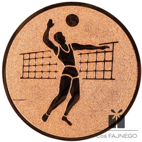 Emblemat samoprzylepny / Siatkówka / Brązowy / 25 mm