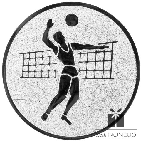 Emblemat samoprzylepny / Siatkówka / Srebrny / 50 mm