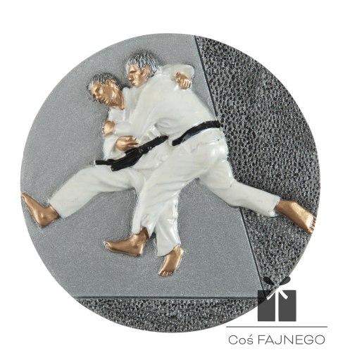 Emblemat / Judo / Inny / 70 mm