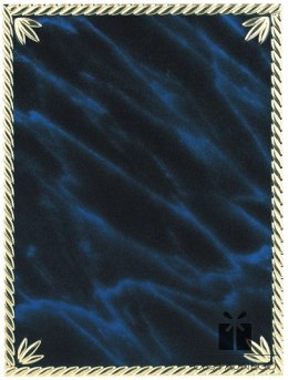 Plater / Uniwersalny / Złoty/Niebieski / 130x85 mm