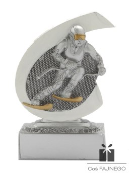 Statuetka / Narciarstwo / Inny / 75x100 mm