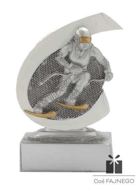 Statuetka / Narciarstwo / Inny / 75x100 mm