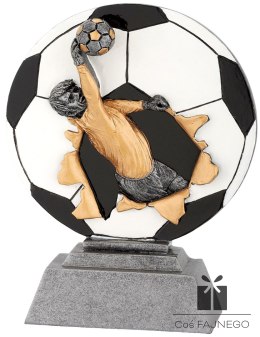 Statuetka / Piłka nożna / Inny / 120x160 mm