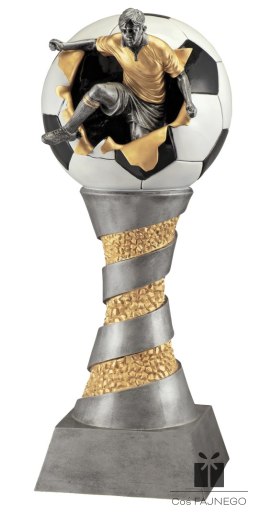 Statuetka / Piłka nożna mężczyźni / Inny / 320x800 mm
