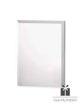 Statuetka / Uniwersalny / Inny / 100x150 mm