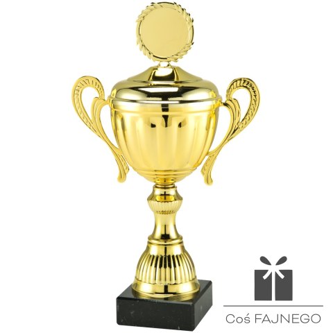 Puchar / Uniwersalny / Złoty