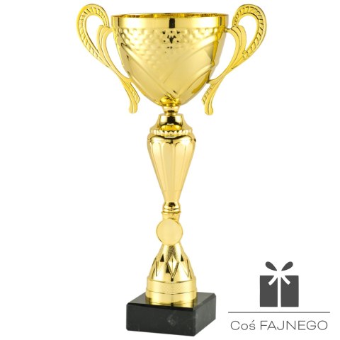 Puchar / Uniwersalny / Złoty
