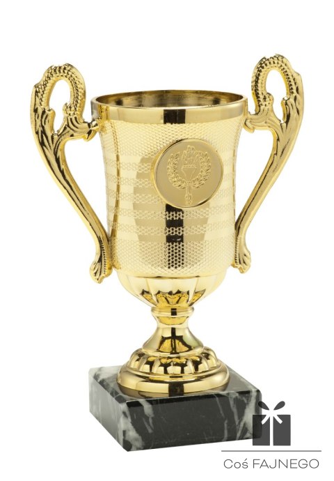 Puchar / Uniwersalny / Złoty