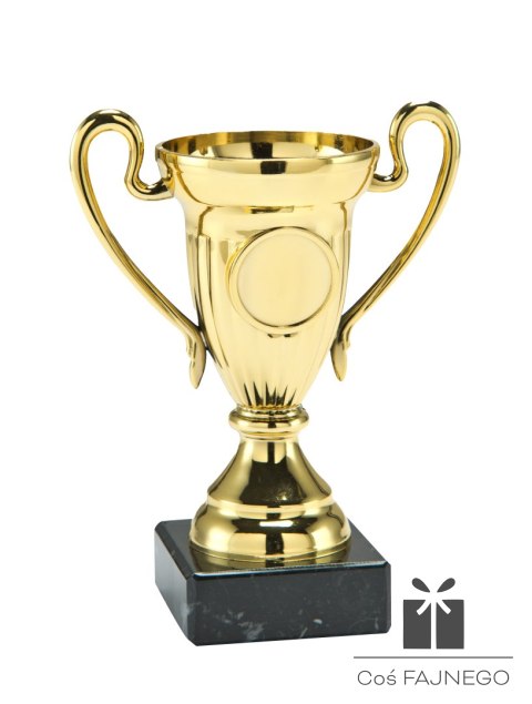 Puchar / Uniwersalny / Złoty