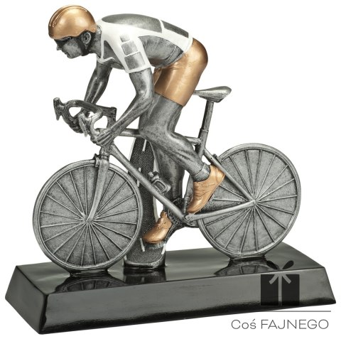 Statuetka / Kolarstwo / Inny / 305x300 mm