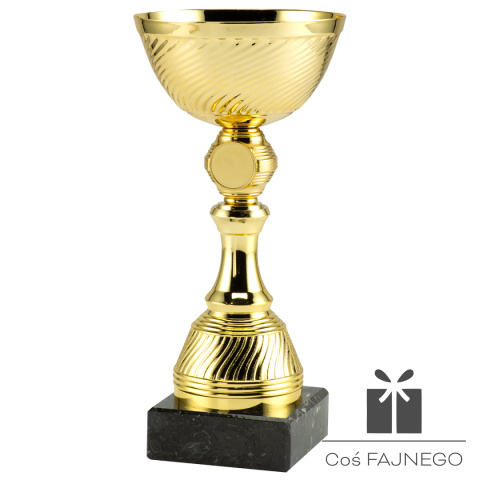 Puchar / Uniwersalny / Złoty